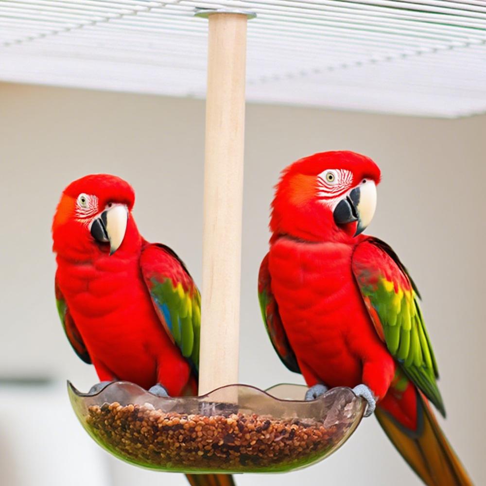 1 PC Bird Cage Feeding Cups Top Hanging Parrot Feeder Round Flower-shaped Bird Feeder Bowl for Pet Birds Parrot Cage Accessories