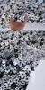 Italian Black & White Floral High-Count Cotton Poplin Fabric for Designer Dress Shirts