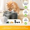 Filtro di ricambio per fontana d'acqua per gatti, distributore automatico d'acqua per animali domestici, sistema di filtrazione a carbone attivo con spugne per XCHO