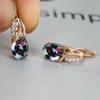 Popular Champagne Gold Oval Navy Blue Earrings for Women Simple and Personalized Temperament