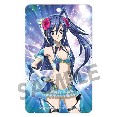 

Senki Zesshou Symphogear XD UNLIMITED Pass Case Казанари Цубаса [Тенсуи Ранбузан]