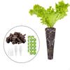 20x Grow Sponges Plant Starter Plugs Garden Accessories Hydroponics Supplies Rooter