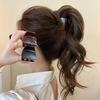 High Ponytail Anchor Hair Clip, New Shark Clip, Back of The Head Hair Accessory, Long-lasting Styling, Fluffy Hair Volume