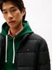 Зимняя куртка Tommy Hilfiger Quilted Jacket (MW0MW41982) black