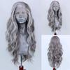 AIMEYA Loose Curly Synthetic Lace Front Wig Black Wig with White Highlights Women's Wig Daily Use  Halloween Cosplay Wig