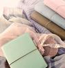 Filofax Domino Soft Pocket (Mini 6-Hole) Mint System Organizer