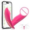 APP Bluetooth Ovládání Vaginální Vibrátor Masturbace Ženy Klitoris Vibrační Stimulátor Nositelný Vibrátor Erotické Produkty pro Dospělé