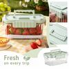 Small Portable Food Cooler Box, Compact Cold Storage Container for Picnics and Travel
