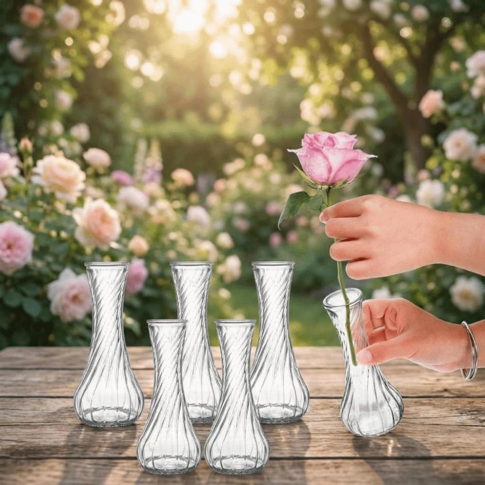 6PCS Vintage Clear Flower Vases Transparent Flower Holder Water Culture Vase  Desktop Adornment