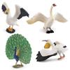 Peafowl Pelican Wildlife Animal Pvc Models For Kids Educational Decor Toys And