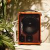 MiGao MG-T3 Rechargeable Pro Instrument Speaker