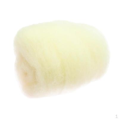 10g Crafts Materials Felting Wool for Beginner Handmade