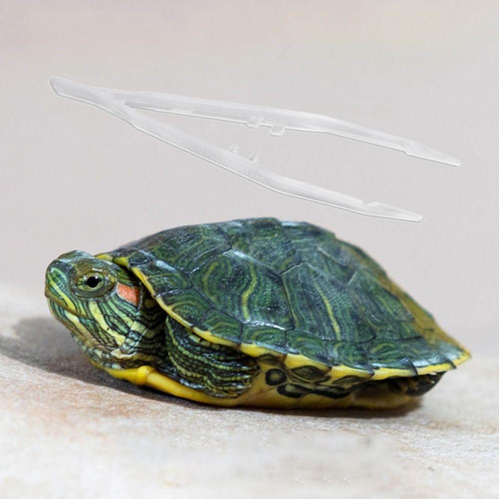 Anti-static Straight Tweezer Animal Feeder Clamp Reptile Feeding Tweezer Tortoise Feeding Tongs