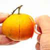 Orange & Fruit Peeler Ring Opener