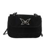 Niche design small bag women's 2025 new model, this year's popular aesthetic leisure autumn fashion simple messenger bag