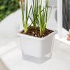 Self Watering Plant Pot Container Decorative Simple Indoor Outdoor Planter Box for