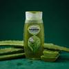 Aloe Vera Kesh Kanti Cleanser, Aloe Vera Hair Cleanser, 200ml, Patanjali