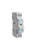 Hager Hager Sbn216 - Non-automatic 2 Poles Switch 16a Mod 1