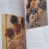 [USED] Gifts from Salzburg: Spice and Nut Crafts, Krantz, Salzburger Art