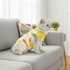Fruit Printed Cat Recovery Clothing High Elasticity Breathable Cat Sterilization Suit Comfortable Soft Cat Jumpsuit Pet Care