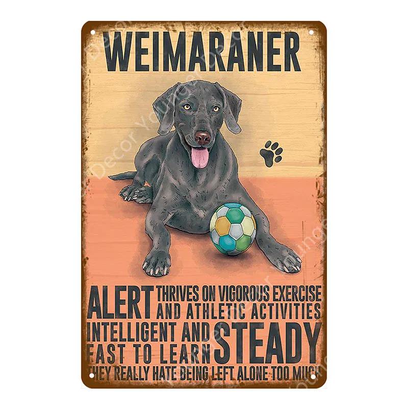 Animal Dog Cat Vintage Metal Poster Home Decor Retro Tin Sign For Pub Bar Club Decorative Plate Poodle Wall Plaque