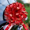 Accesorii de nuntă – Accesorii de nuntă pentru mașină