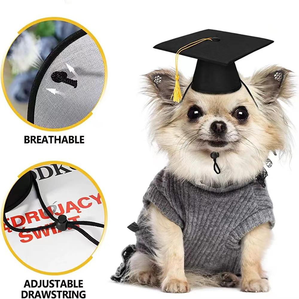 Pet Graduation Decoration Pet Saliva Towel Doctor Hat Dog Graduation Season Gift Party Decoration Props