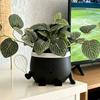 Glimlachend Gezicht Plantenbak Pot 3D Tennis/Voetbal Hoofd Bloemen Gedrukt Schattige Vas met Afvoergaatje