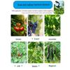 2023 Plant Tying & Pruning Machine for Tomatoes, Grapes, Eggplants, Cucumbers, and Peppers