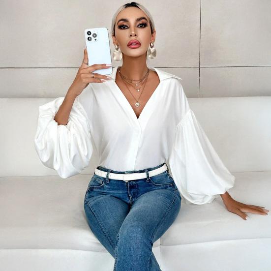 Women Shirt Lapel Half Open Collar Puff Long Sleeve Shirt Tops A-Line Tunic Soft Chiffon Casual Blouse Daily Wear