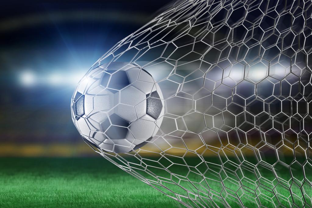 Photomural Soccer Goal 3D Washable Fleece 315x210