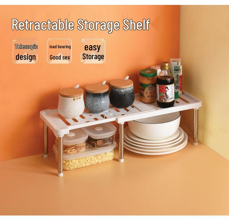 Retractable Double-Layer Stainless Steel Spice Rack and Organizer