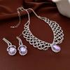Exquisite Rhinestone Jewelry Set Shining Crystal Necklace Set Necklace Earrings Set  Women
