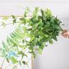 Simulated Feel Leaf Clematis False Leaf Flower Arrangement Plant Wall Accessories Plastic Simulated Flower Green Plant