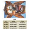 Crashs Bandicoots Blanket Quality Warm Soft  Throw Blanket Winter Students Living Room Fashion Bedspread