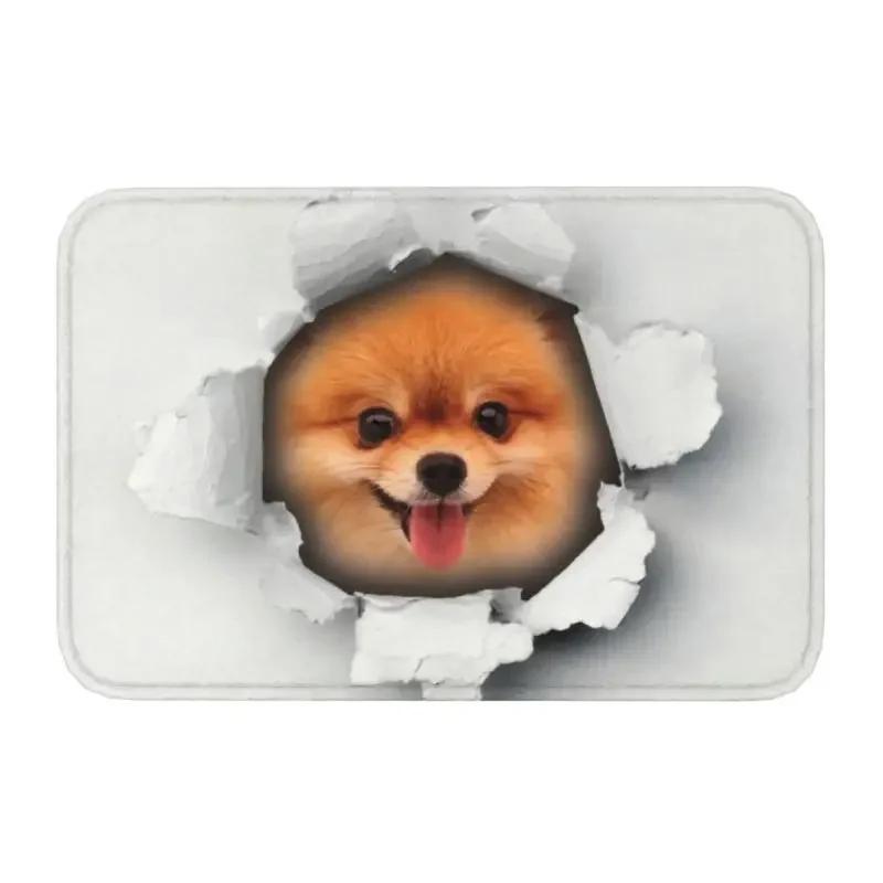 Cute Puppy Entrance Doormat Pomeranian Pattern Rug Living Room Bedroom Kitchen Anti Slip Carpet Home Decoration