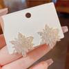 Women's Accessories Sari Light Snowflake Earrings