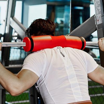 Fitness y musculación – Levantamiento de pesas