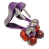 Cherry & Date Pitter Tool for Hawthorns and Carambola