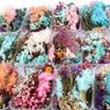 Gemischte Trockenblumen für Scrapbooking Seifen- und Kerzenherstellung Dekoration DIY Bastelbedarf