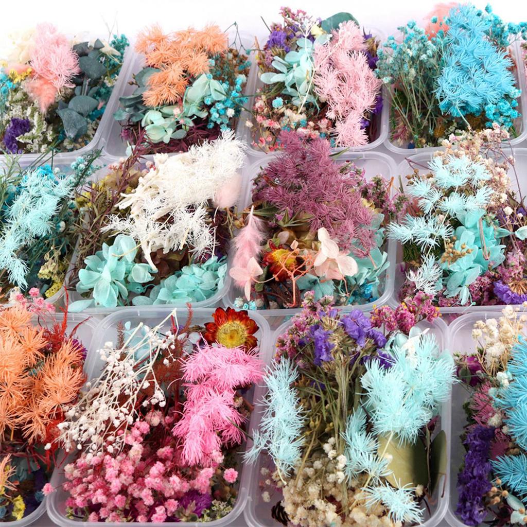 Gemischte Trockenblumen für Scrapbooking Seifen- und Kerzenherstellung Dekoration DIY Bastelbedarf