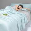 Class A Ice Silk Summer Quilt Set - Cooling, Water Washable, Embroidered, Air Conditioning Friendly, Thin Quilt for Naked Sleep
