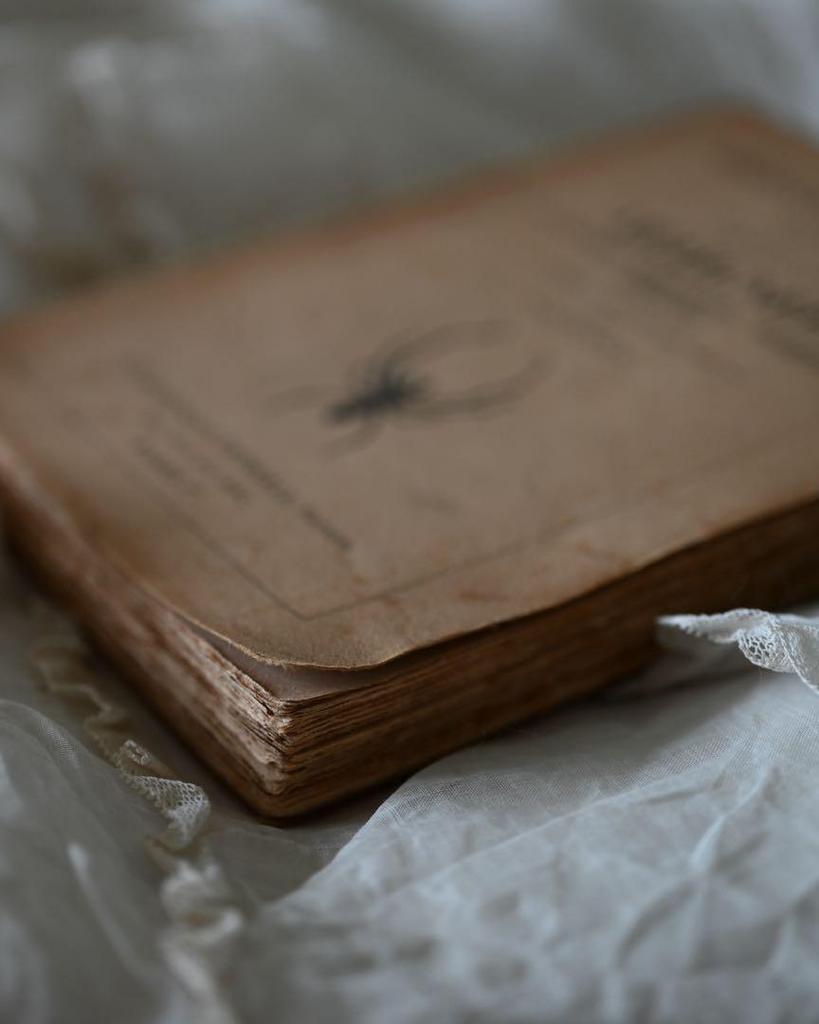 [USED] French Antique Rare Spider Book