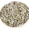 Puer