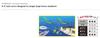 Duo Soft Lure Tetra Works Jam 76mm 12 per pack S502 (0077)