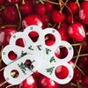 Ruler for Fruits 7 Holes Diameter Gauge Multifunction Professional Cherry Fruit Caliper Standard Measurement Measuring Ruler
