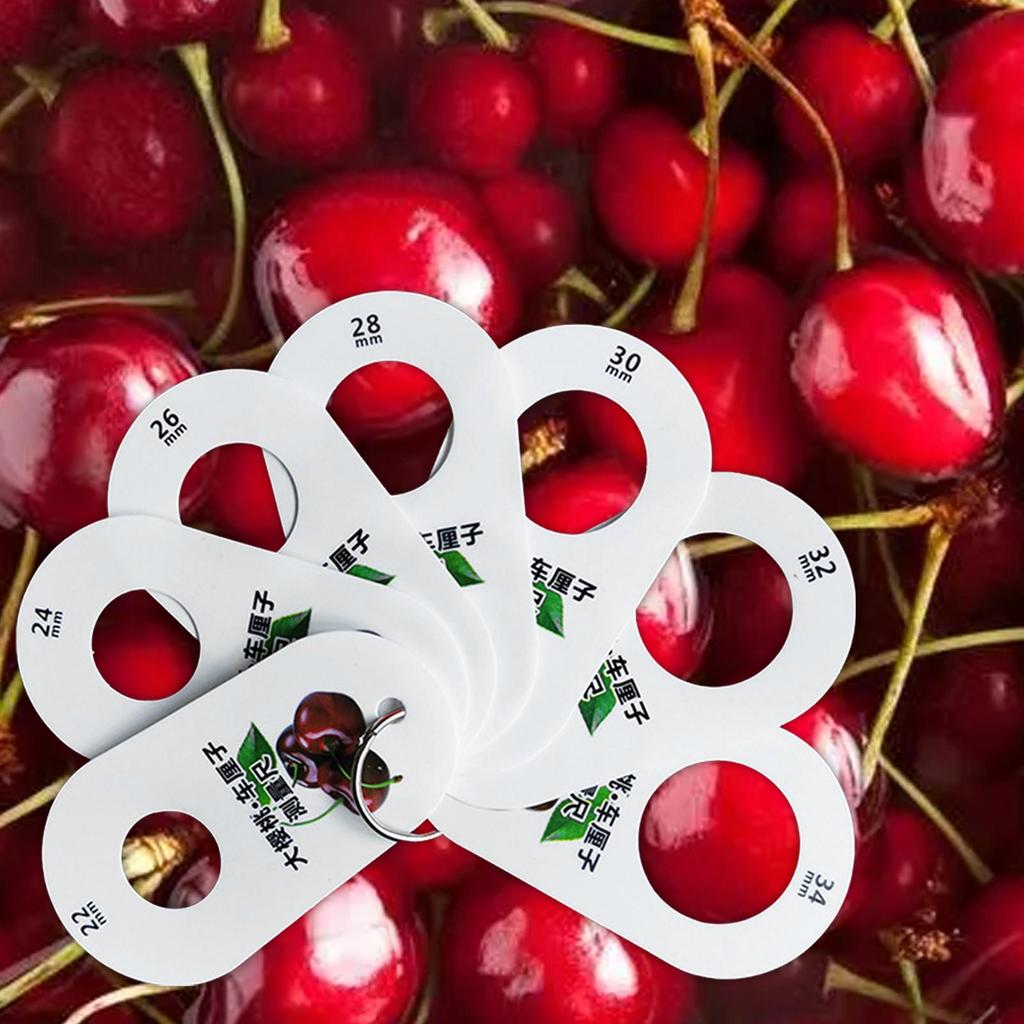 Ruler for Fruits 7 Holes Diameter Gauge Multifunction Professional Cherry Fruit Caliper Standard Measurement Measuring Ruler