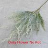 Artificial Arundinacea Phalaris Floral Decor For Living Room And Prop Photo