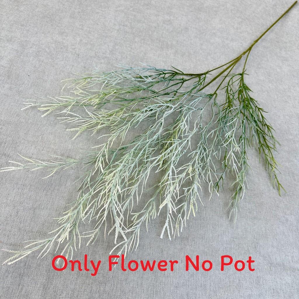 Artificial Arundinacea Phalaris Floral Decor For Living Room And Prop Photo