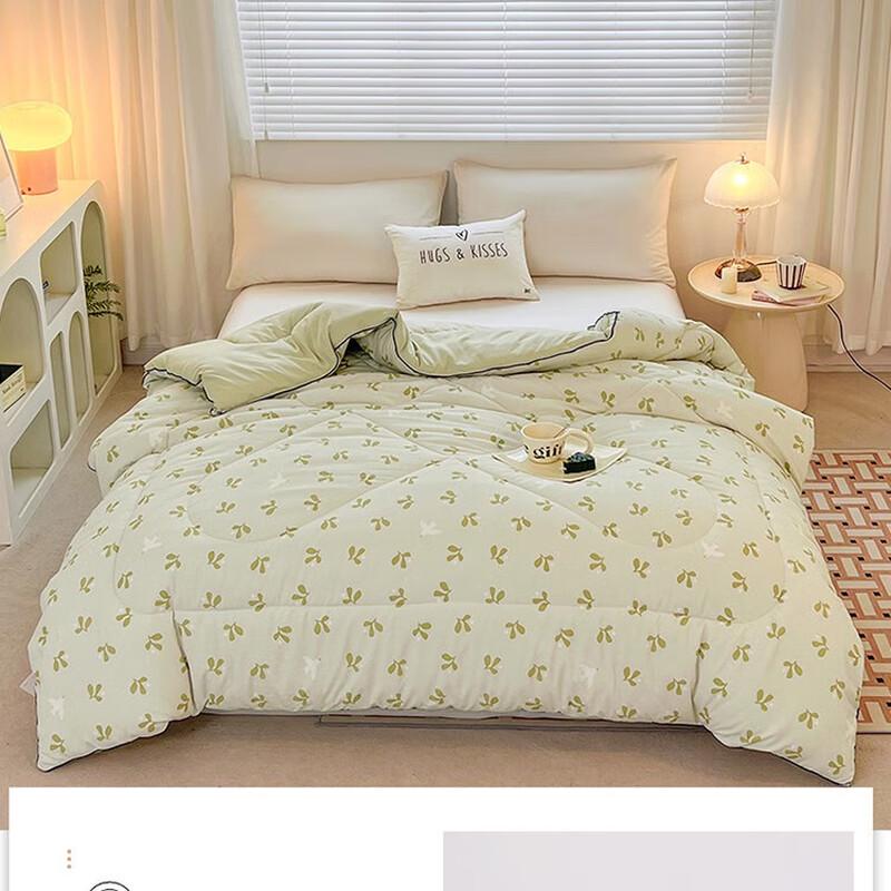 Jieliya Skin-Friendly Cotton Soy Fiber Duvet Insert